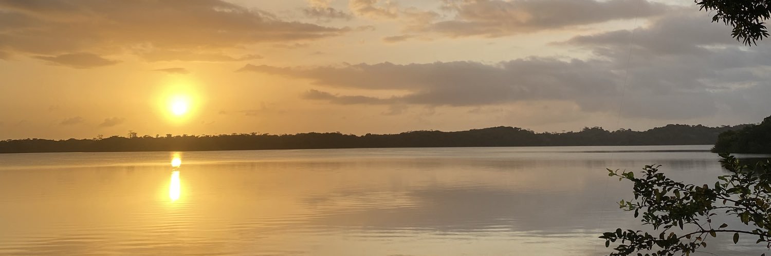 soyyroxan's profile banner image