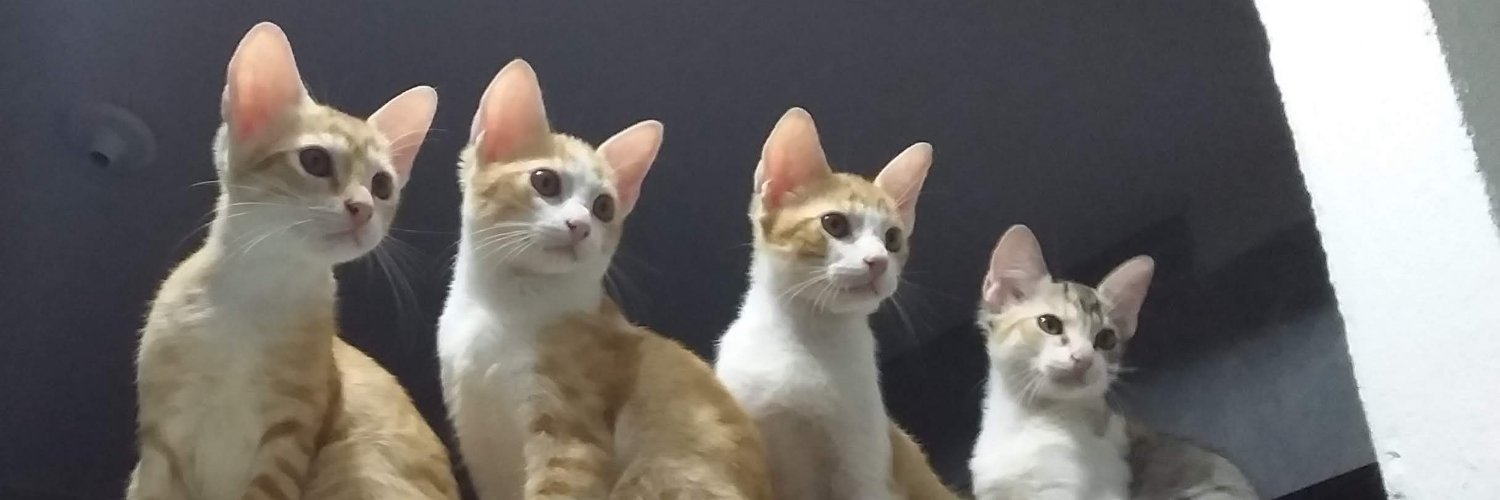 KethullyLuana's profile banner image