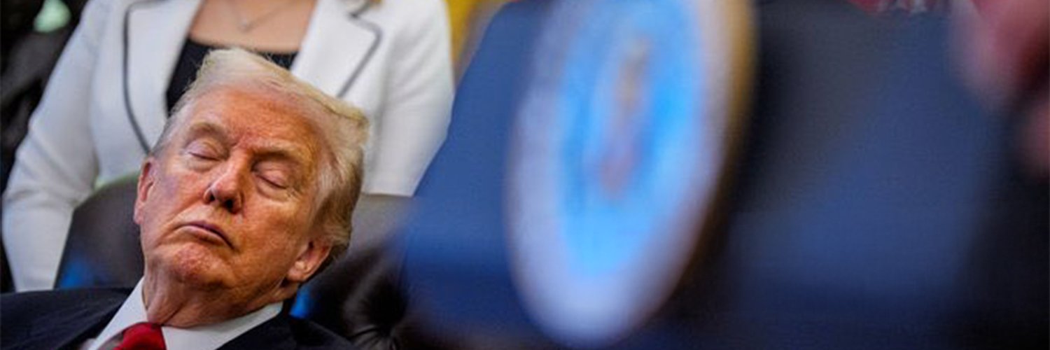 Swede Norquist banner