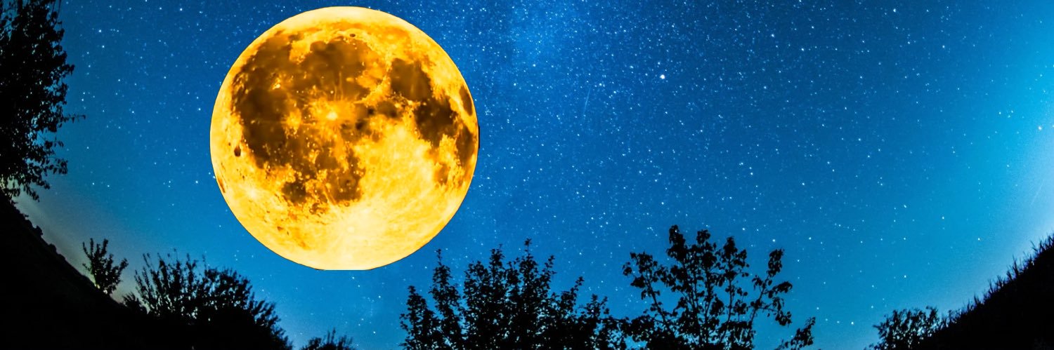 もっちゃん banner