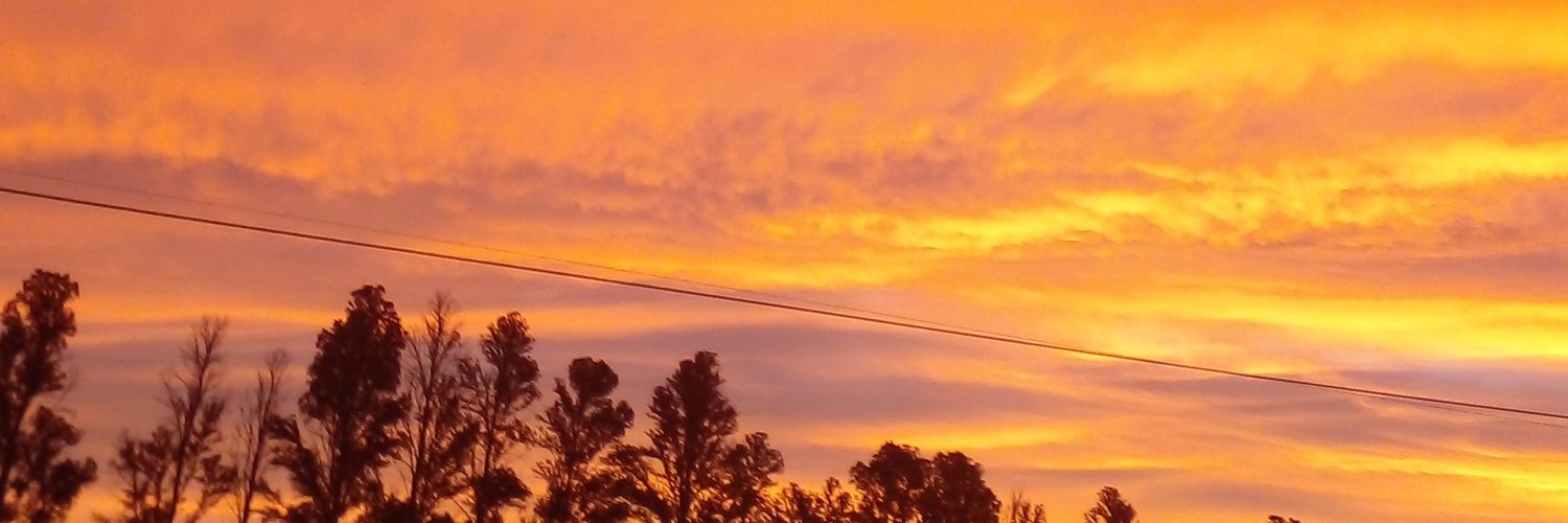brunnette031's profile banner image