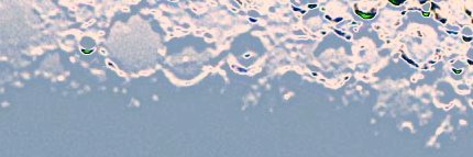 𝕱𝖎𝖗𝖊𝖇𝖗𝖆𝖓𝖉's banner