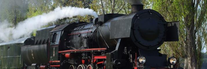 lupus71 🇵🇱 banner