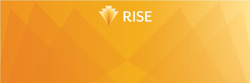 RISE banner