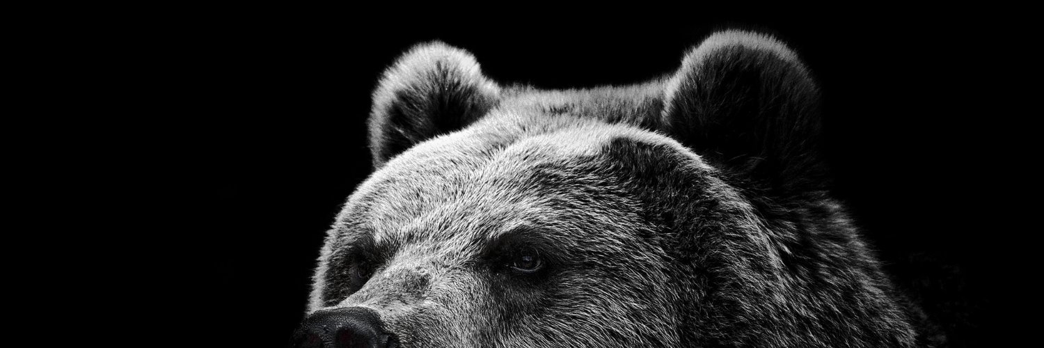 torch464's profile banner image