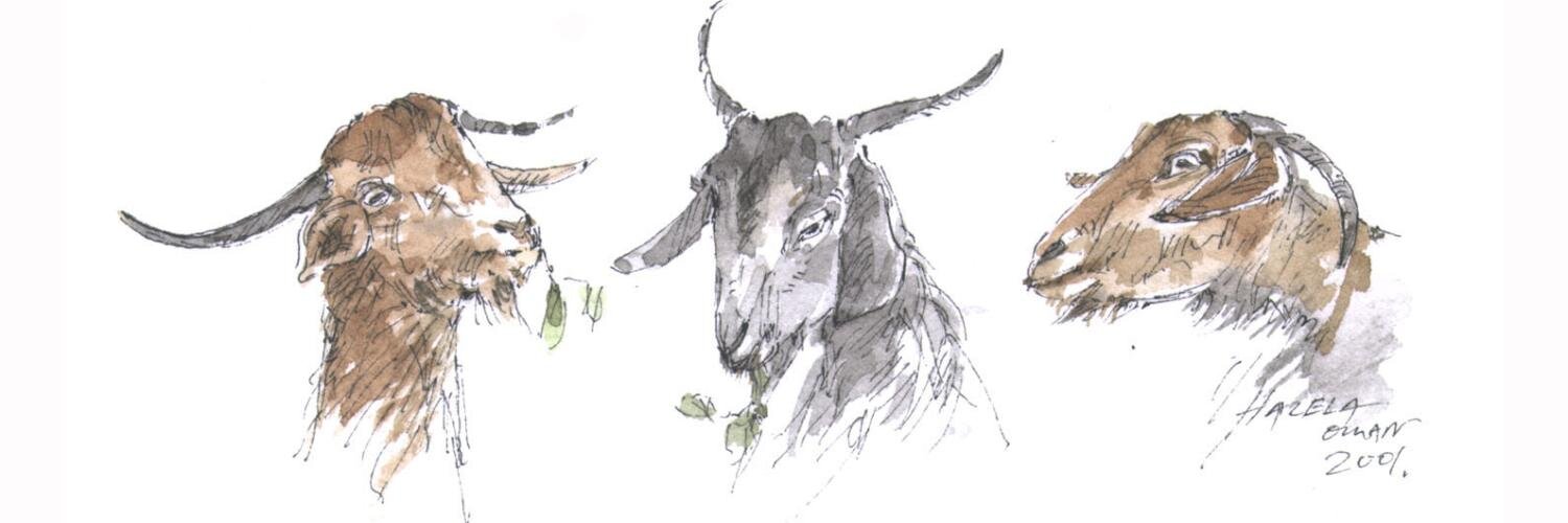 kjebra3's profile banner image