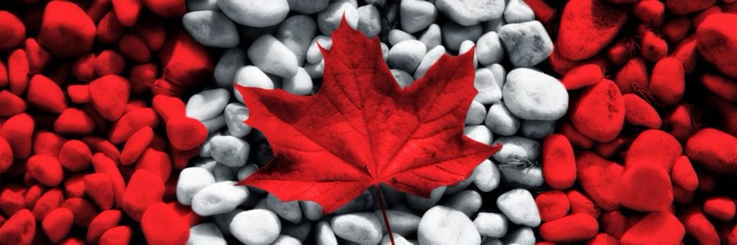 Tom Butt 🇨🇦 #IStandWithTrudeau Profile Banner