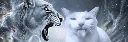 arosiosdaughter's profile banner image