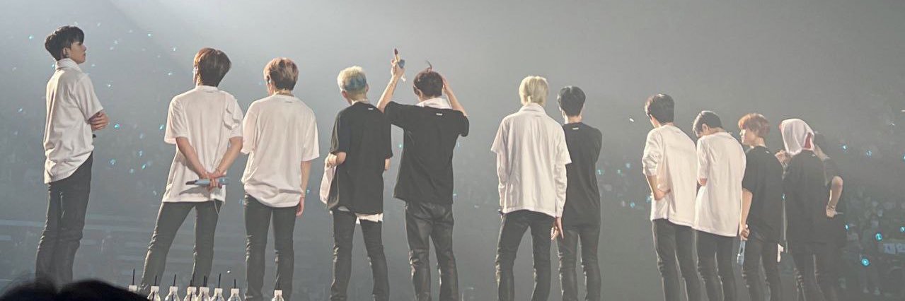 chamomileapple_'s profile banner image