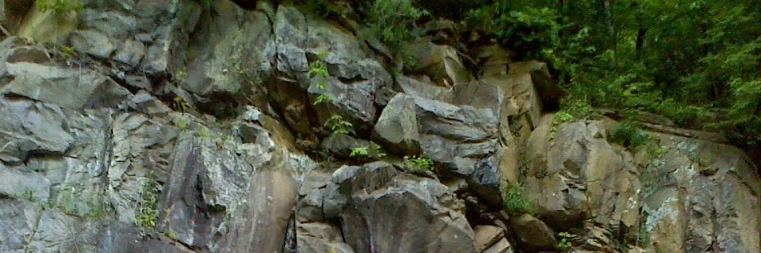 Nynx G banner