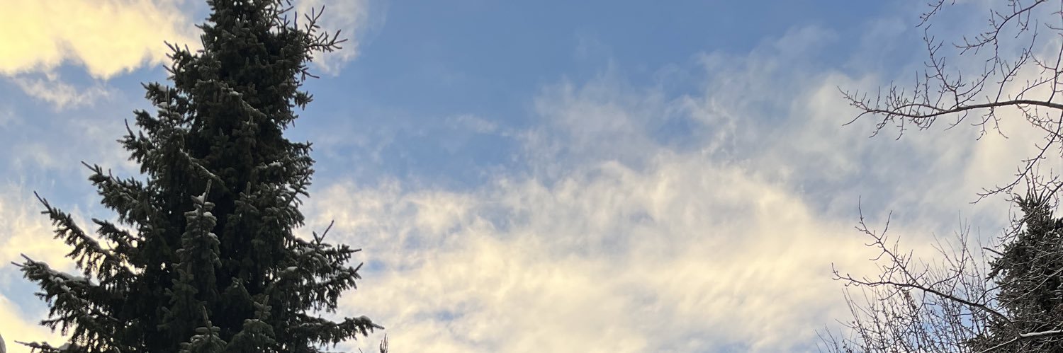 CyberRetriever's profile banner image
