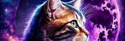 MauronBrandon's profile banner image