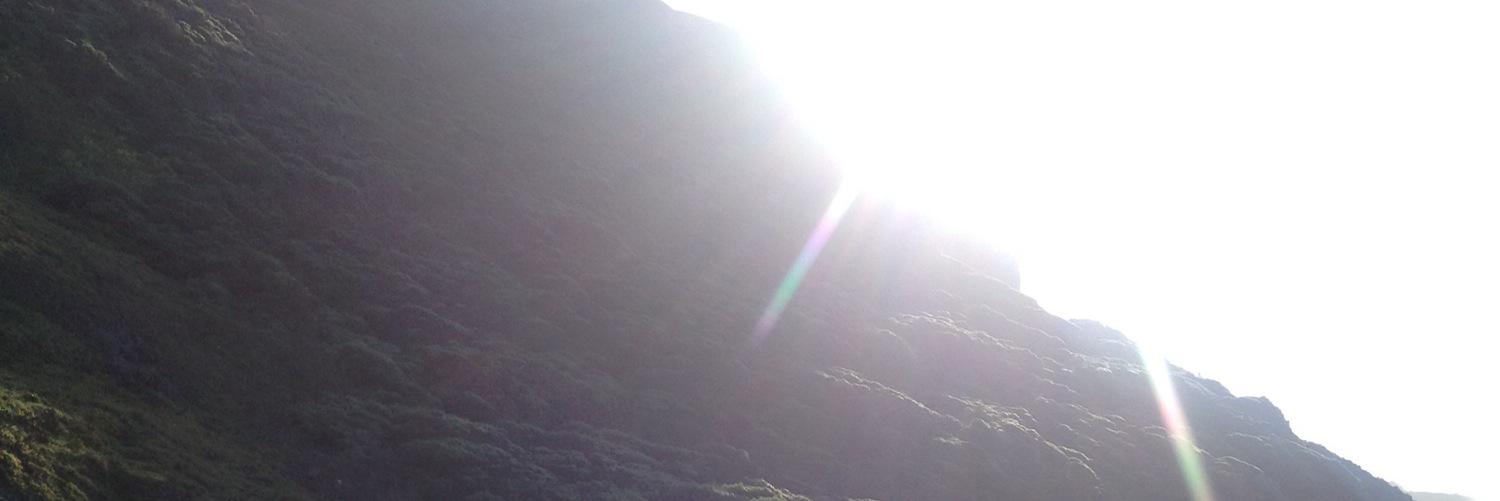 mmcoolman's profile banner image
