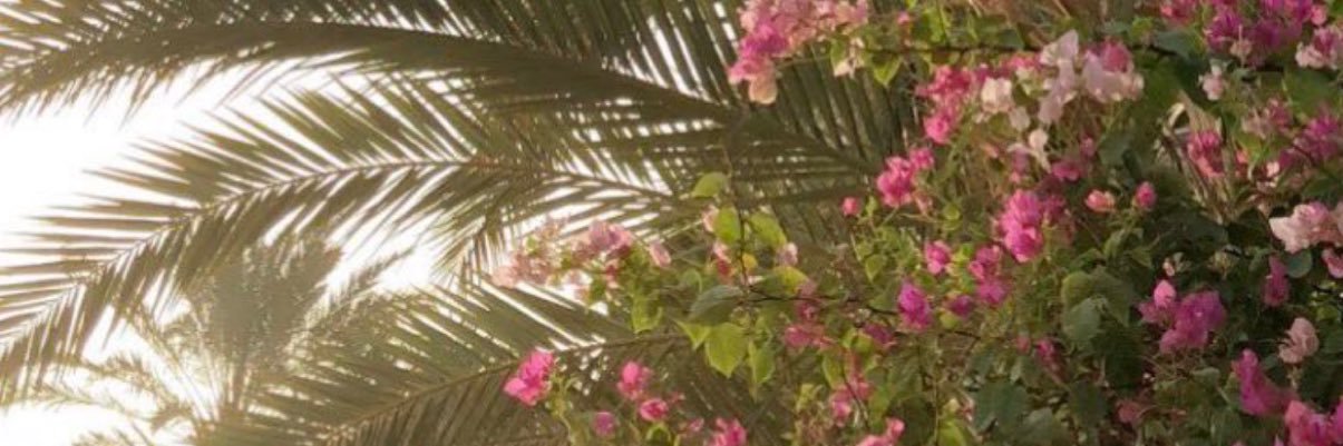 m3ithan's profile banner image