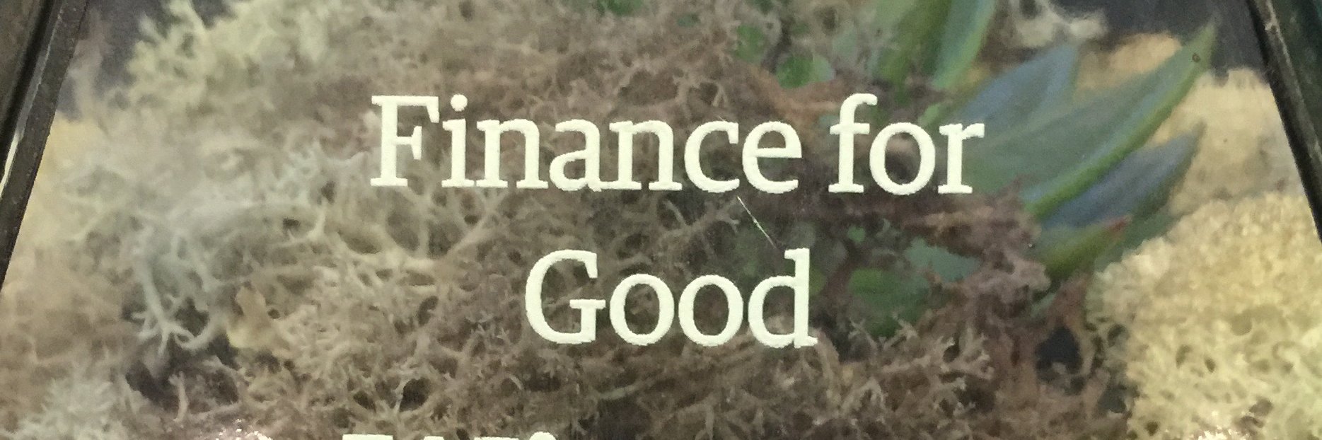 Tomas Carruthers banner