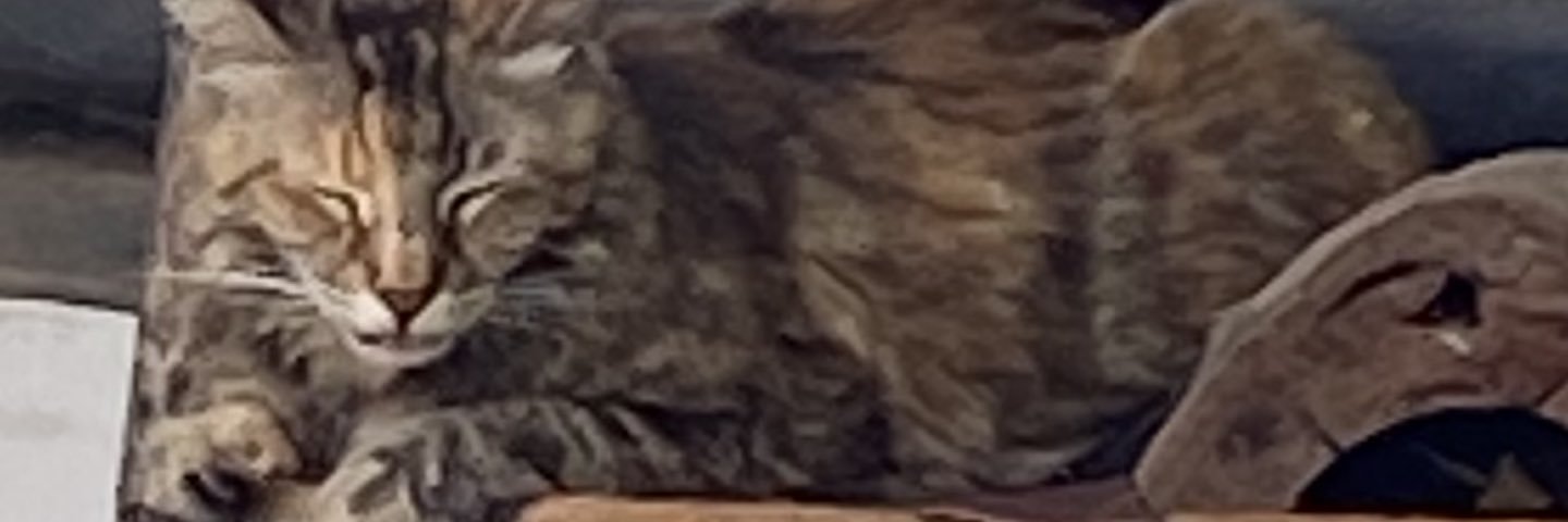 Ceeps_Cafe☕️🏳️‍🌈|PNGtuber|Artist| banner