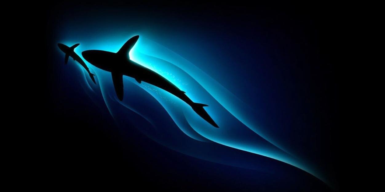 Ergnkrc's profile banner image