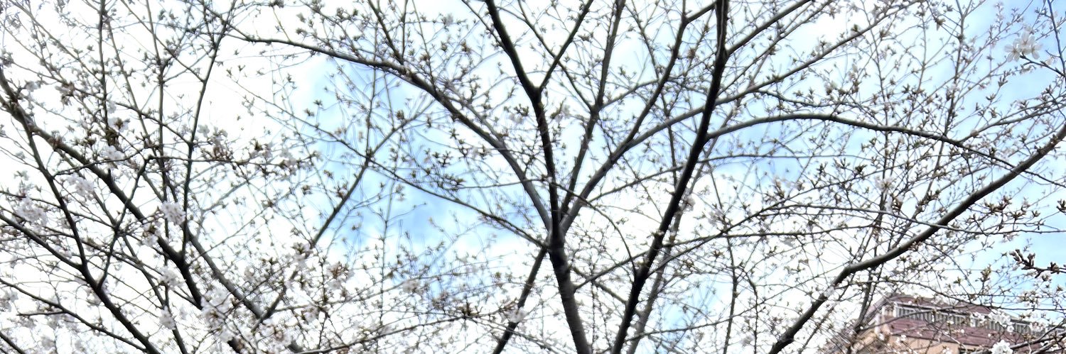 くうまま's banner
