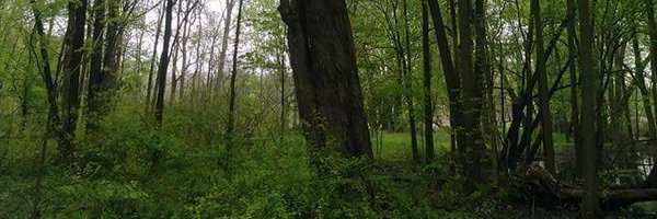 Basedtexans Profile Banner