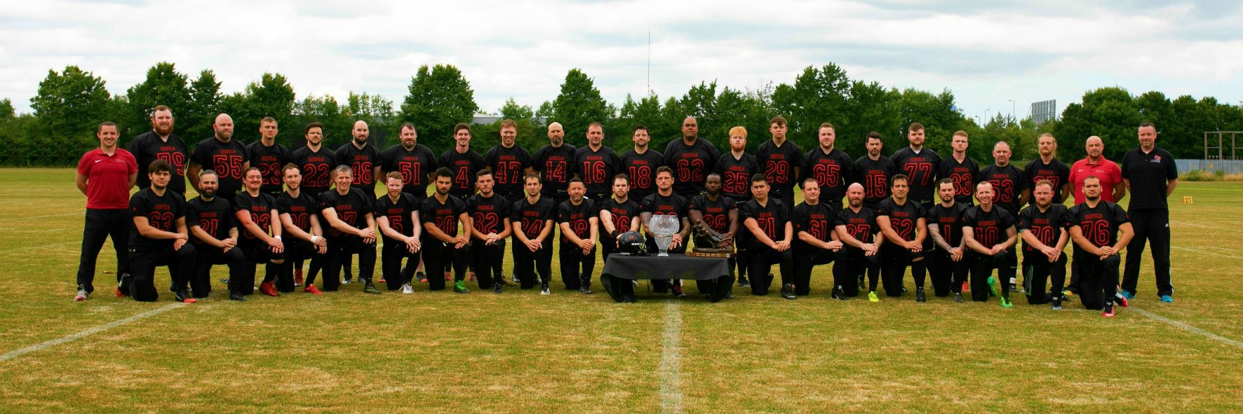Dublin Rebels AFC banner