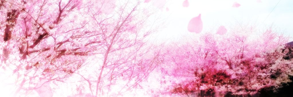 藍ちゃん＠愛知DDRｅｒ banner