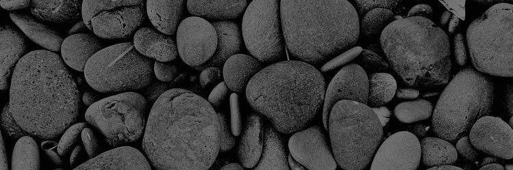 Neveetsvaca's profile banner image