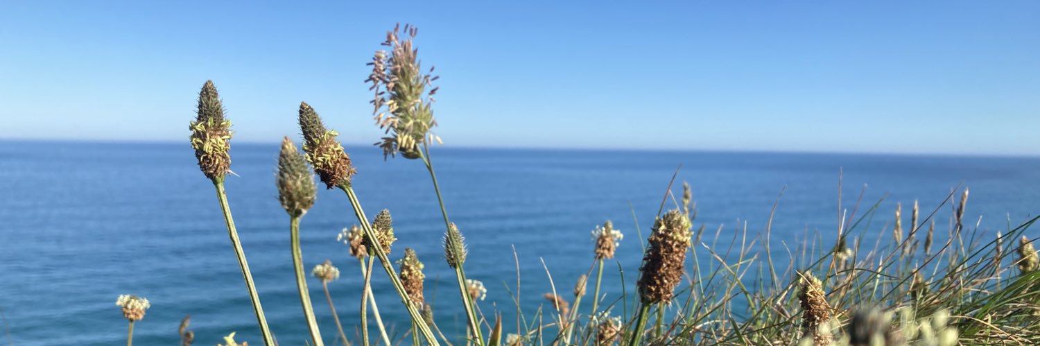 ek_neale's profile banner image