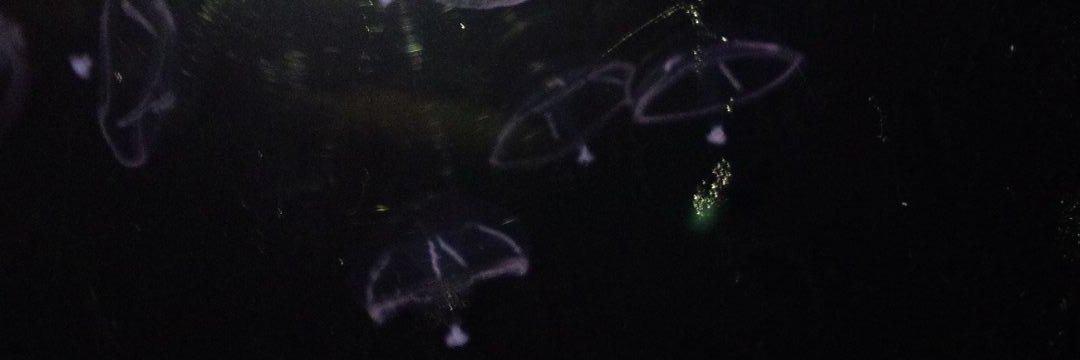 azami_kubyou's profile banner image