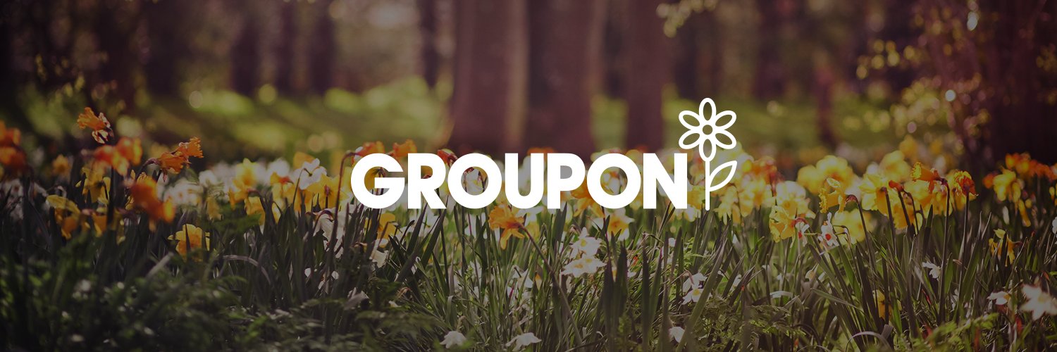 Groupon Ireland banner