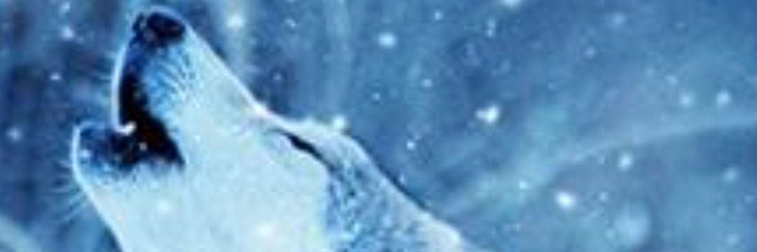 Aifos77 banner