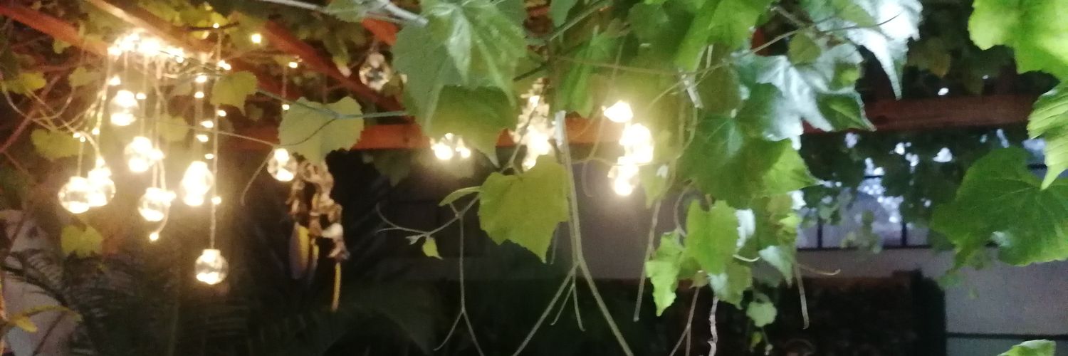 karolrottiers's profile banner image