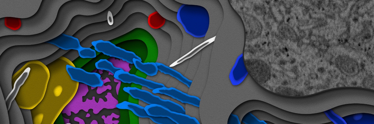 Aubrey Weigel banner