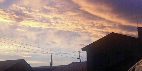 やか (@puru_rira) / Posts / X
