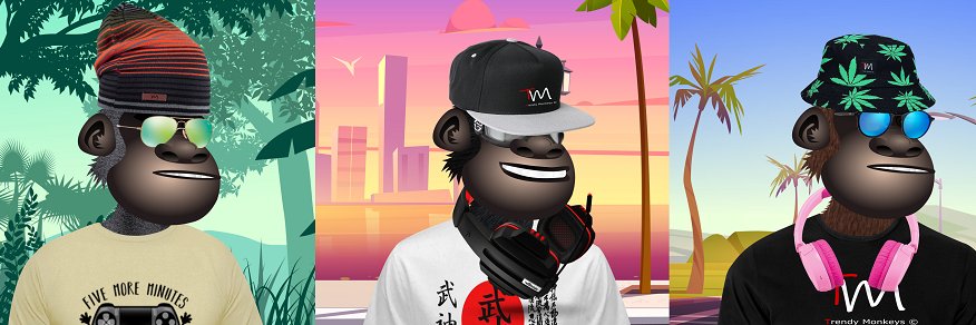 Trendy Monkeys banner