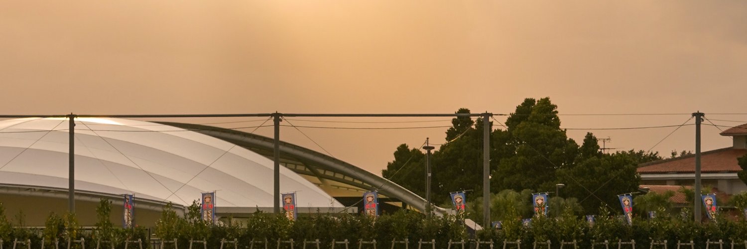 スポニチ写真映像部📷✨'s banner