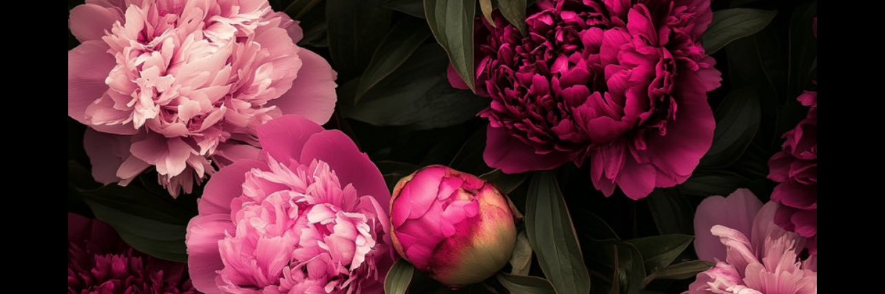 I_maacc's profile banner image