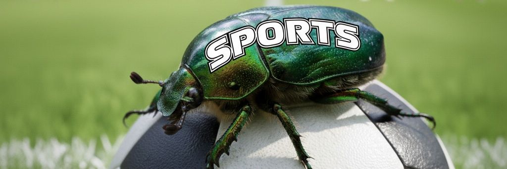 Sports Beetle banner