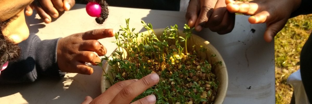 Pascale Vassie 🧡💙 banner