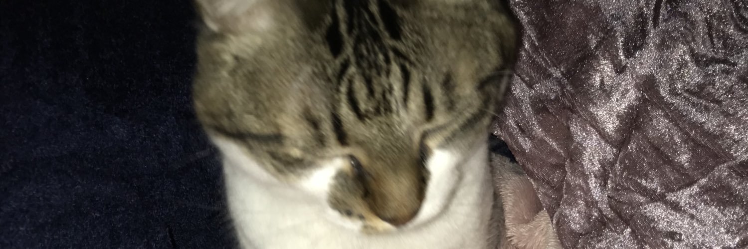 xxoyodo's profile banner image