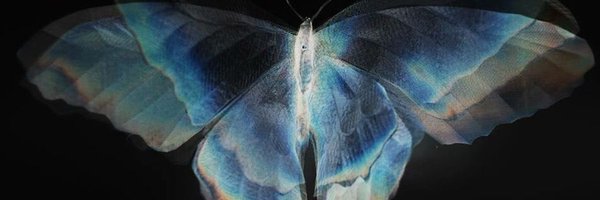 syouuis Profile Banner