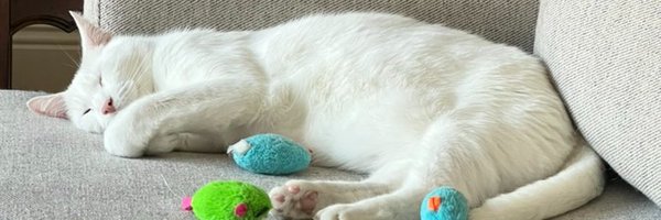 callanable Profile Banner