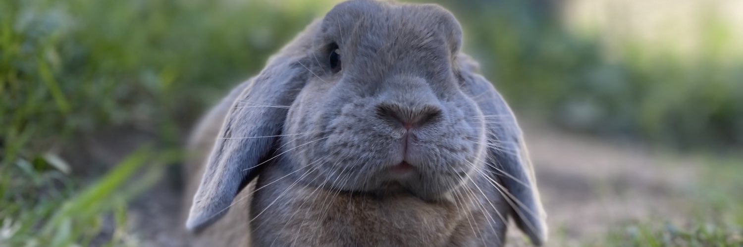 JuliBFernandezA's profile banner image