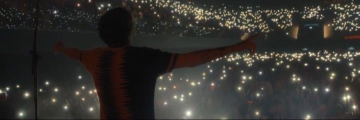 12 - gave flowers to niall banner