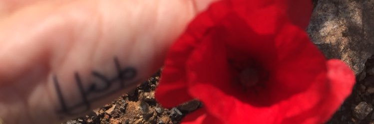 dehrioglu's profile banner image