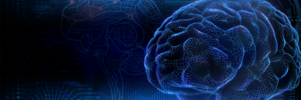 AFL_UCLA Profile Banner