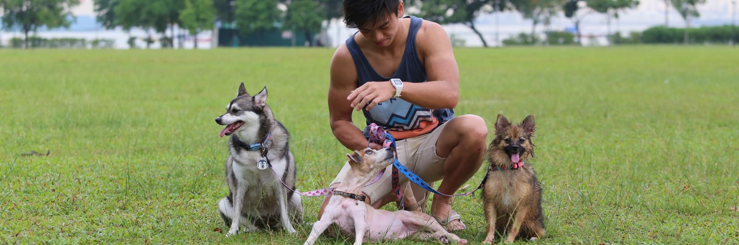 Cheezeponcho's profile banner image