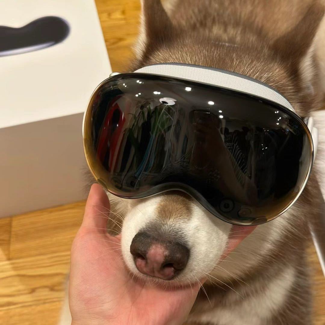 Dawei（努力奋斗版） banner