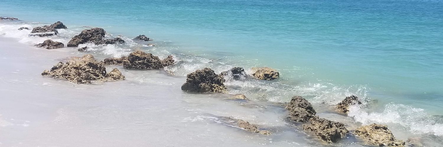 shell924's profile banner image