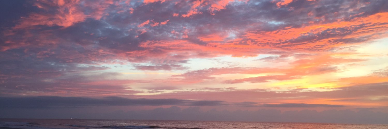 Beach_Runner's profile banner image