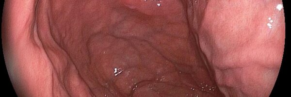 NNEndoGroup Profile Banner